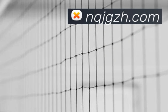 足球世界杯竞猜网站APP 体育赛事宣传图